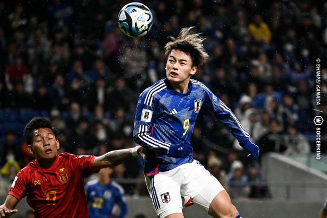 在赞德沃特 在赞德沃特