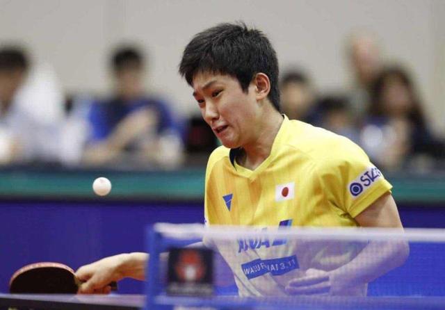 从机制角度 从机制角度